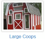 large chicken coops